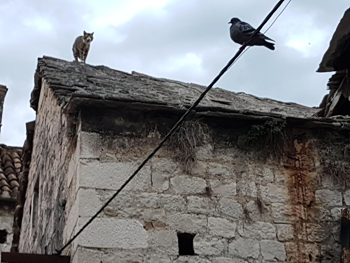 Vukovarska Rose Appartement Kaštela Buitenkant foto