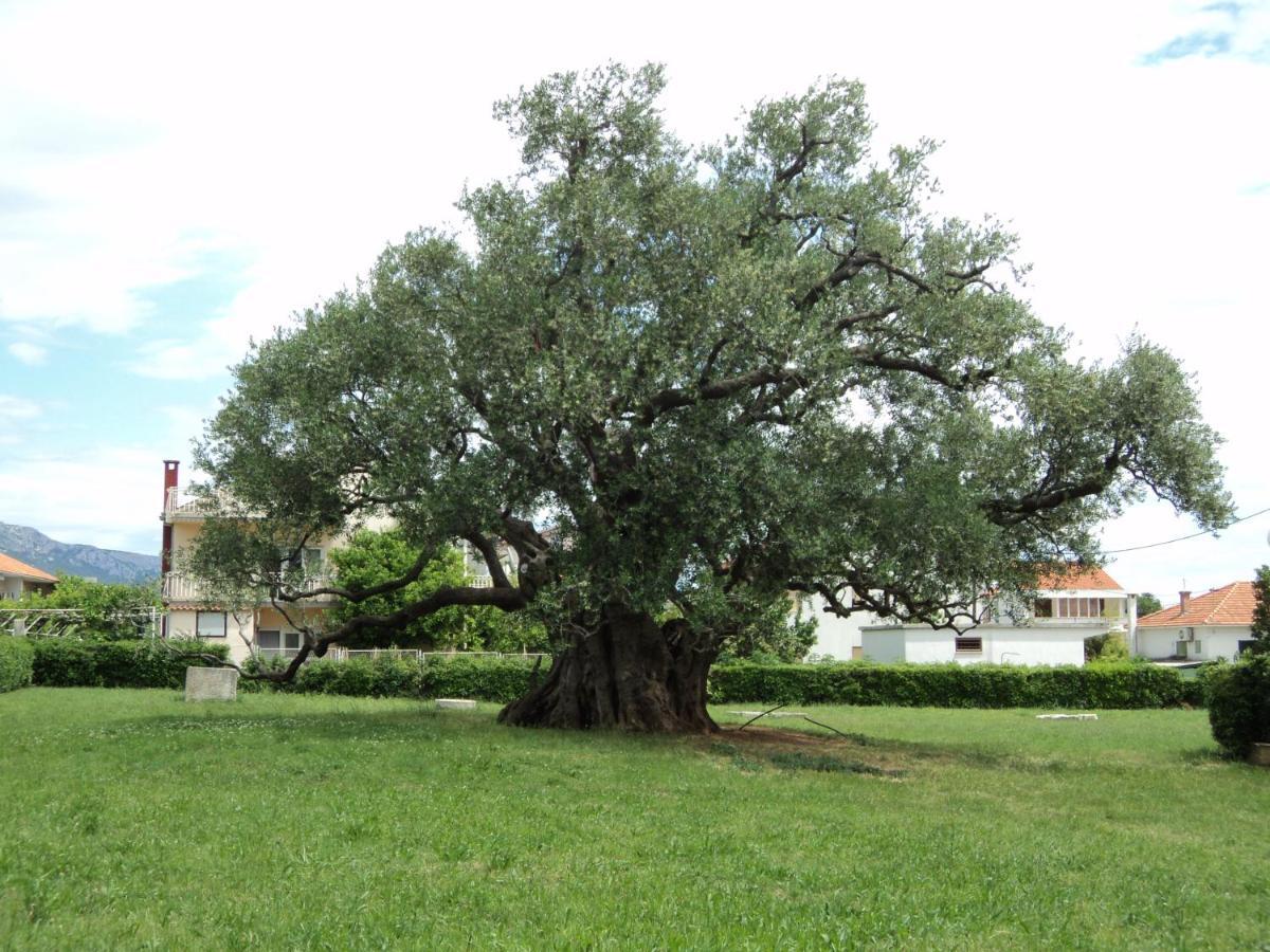 Vukovarska Rose Appartement Kaštela Buitenkant foto